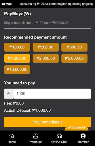 Step 2: The system displays suggested amounts for you to choose to pay.